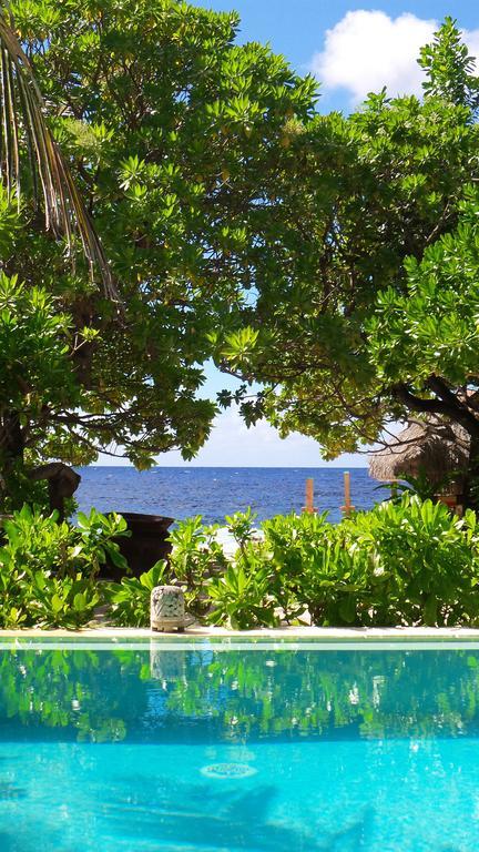Green Lodge Moorea Temae Eksteriør bilde